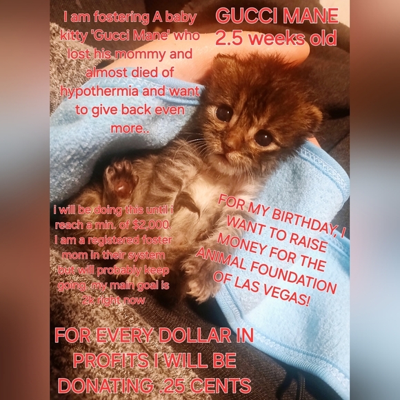 Updated May 23rd- BIRTHDAY WISH-FOR EVERY $1 IN PROFITS .25CENTS ANIMAL FOUN… - Picture 1 of 10